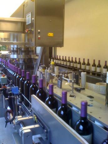In a bottling facility, bottles with purple foiled tops move down an assembly line